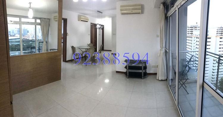 Rocca Balestier (D12), Apartment #158412232